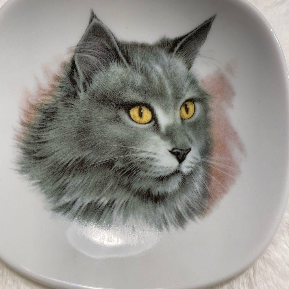 EUC Bavarian cat plate Schumann Arzberg Germany